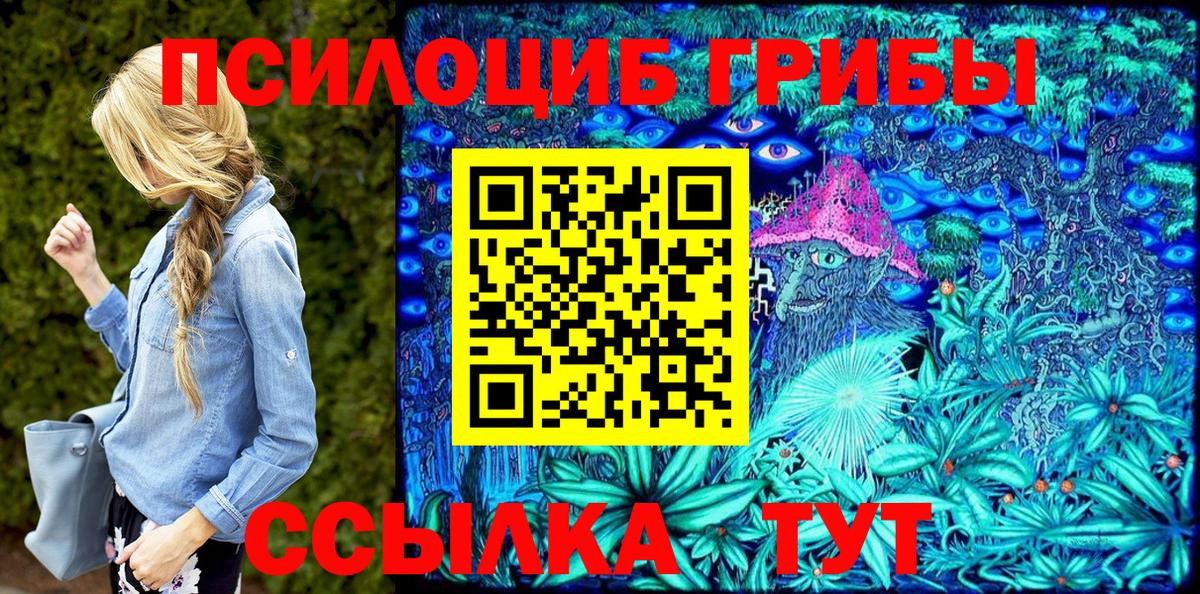 Аксай  Галлюциногенные грибы мицелий  Вход с VPN 