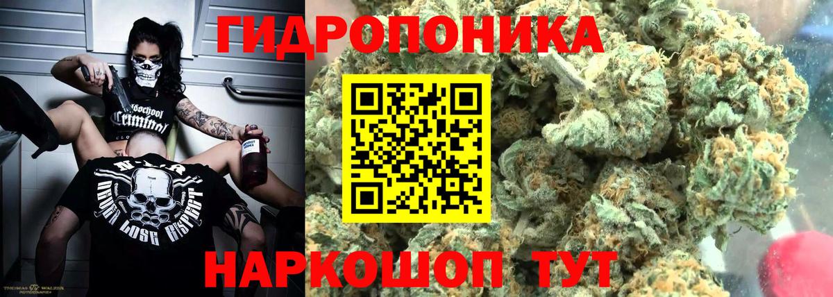 Бошки марихуана THC 21% Аксай